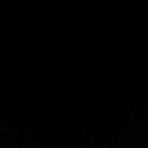 Meet your Posher, Devaughn